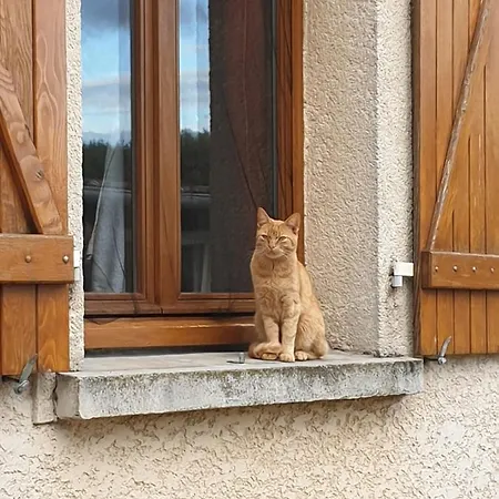 Frühstückspension Nature & Bien-Etre - 1 Chambre A L'Etage 3*