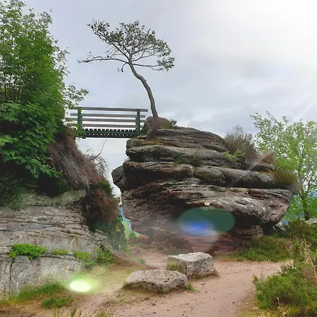 Nature & Bien-etre - 1 A L'etage 3*