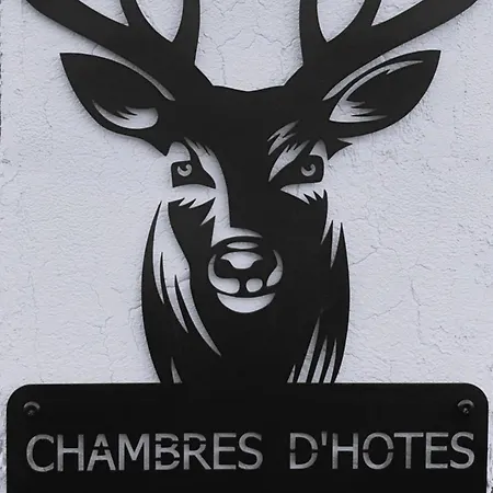 Nature & Bien-Etre - 1 Chambre A L'Etage Étival-Clairefontaine