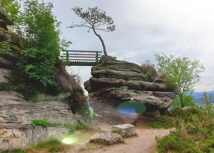 Nature & Bien-etre - 1 A L'etage 3*